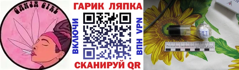 МЕФ Вельск