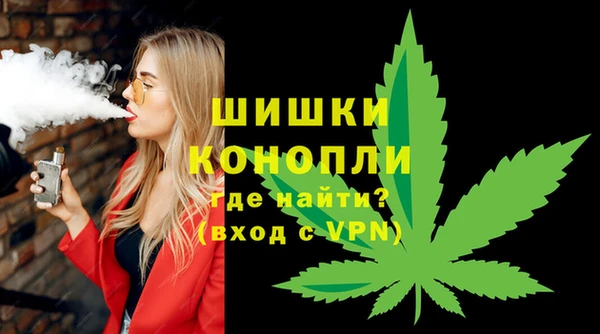 spice Инсар