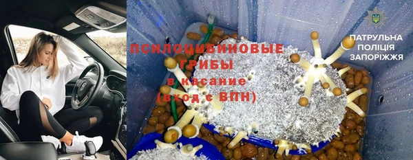 дживик Белокуриха