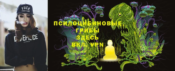 дживик Белокуриха