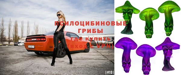 дживик Белокуриха