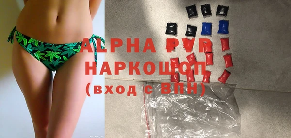 дживик Белокуриха